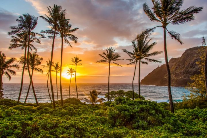 Makapu'u Beach Oahu Photo Tours