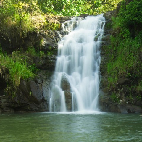 Waimea valley waterfall in tropical forest