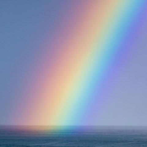 Hawaii Rainbow Oahu Photo Tours