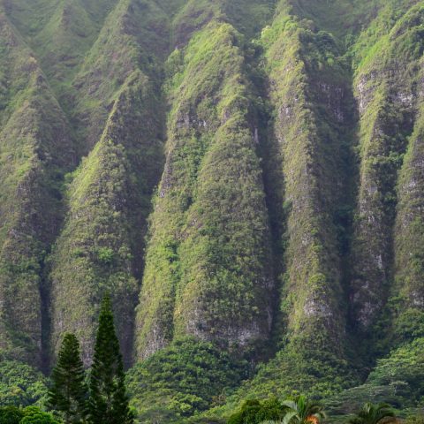 Ko'olau Mountains by Alex Wilson