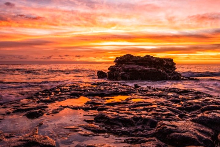 Mac Strickland Photography