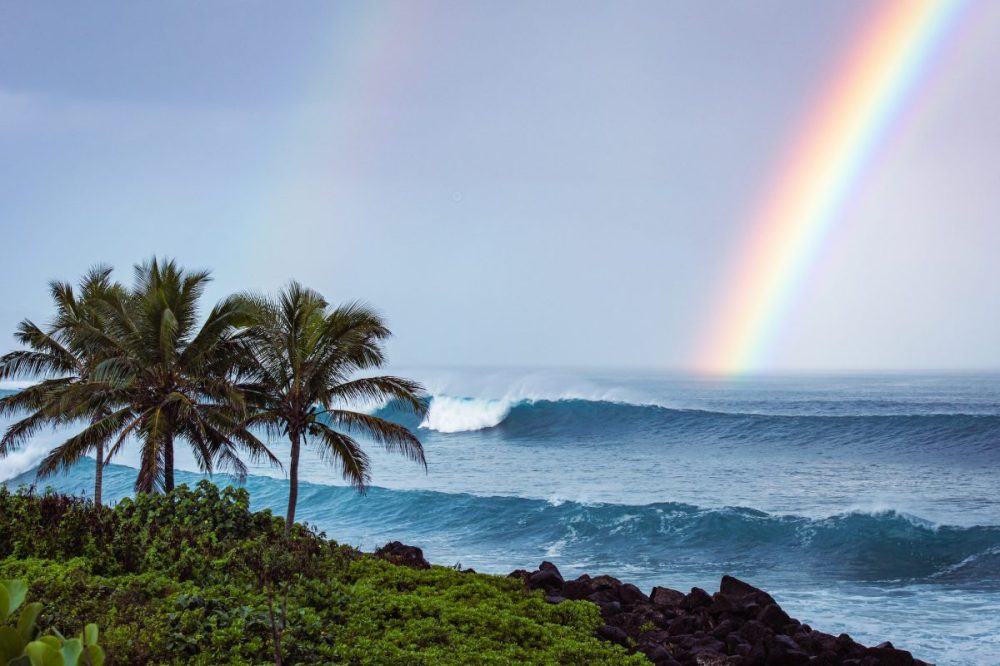 Hawaii Rainbow Oahu Photo Tours