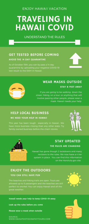 Hawaii COVID Traveling infographic