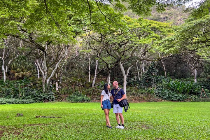 Waimea valley