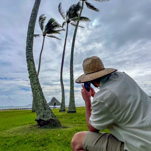 Photos of China Mans Hat