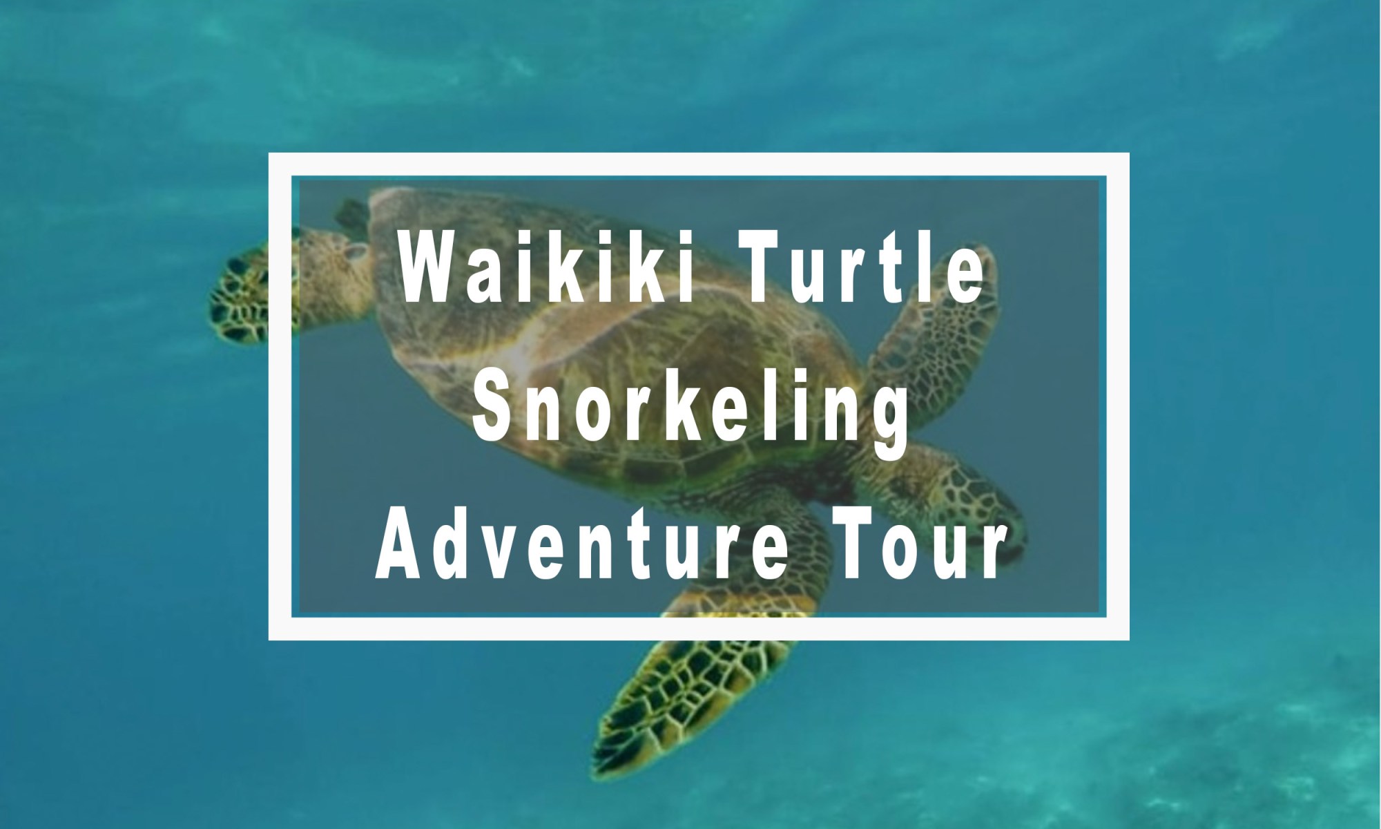 Waikiki Snorkeling Tour