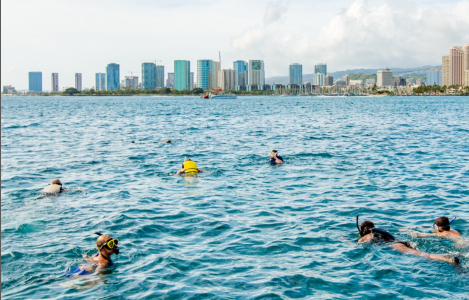 Turtle Snorkeling Tour Waikiki