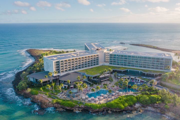 Private full day island tour from turtle Bay